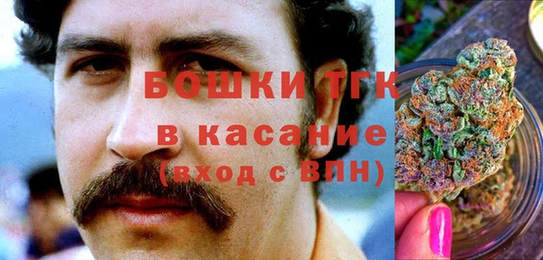 ПСИЛОЦИБИНОВЫЕ ГРИБЫ Анжеро-Судженск