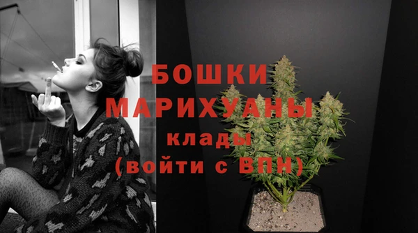 шишки Нефтекумск