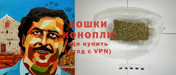 ПСИЛОЦИБИНОВЫЕ ГРИБЫ Анжеро-Судженск