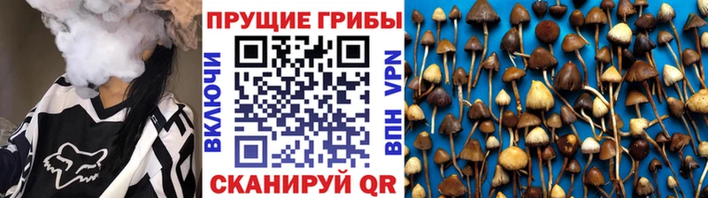 Псилоцибиновые грибы Magic Shrooms  Кушва 