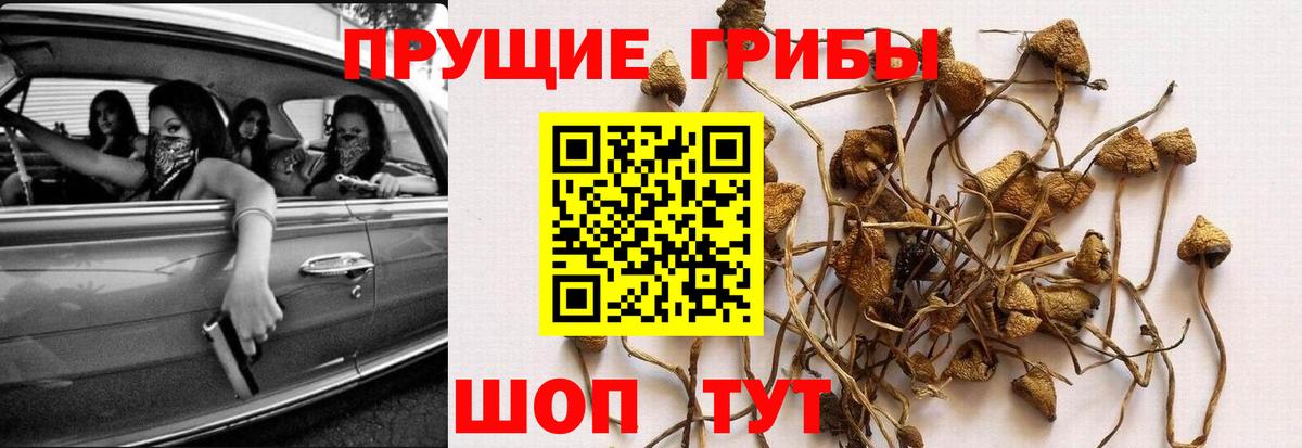 Кушва  Галлюциногенные грибы прущие грибы  Вход с VPN 